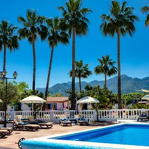 https://the-palms-boutique-resort-mlaga-adults-only.1costadelsol.com